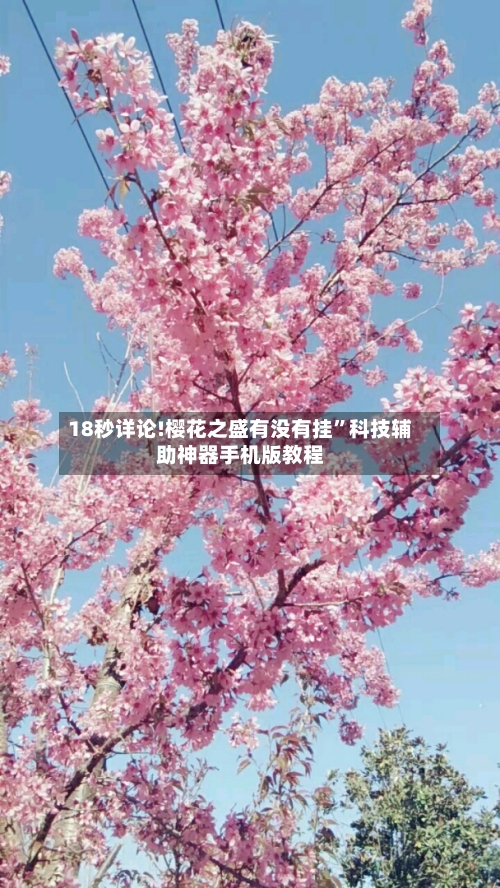 18秒详论!樱花之盛有没有挂”科技辅助神器手机版教程