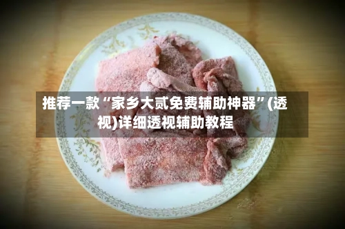 推荐一款“家乡大贰免费辅助神器”(透视)详细透视辅助教程