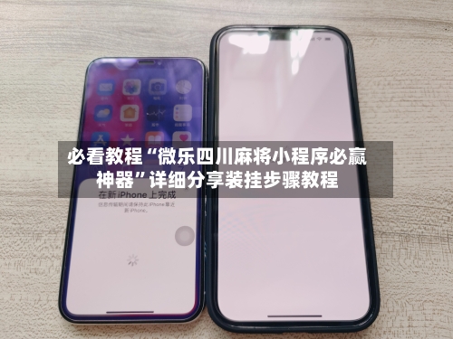 必看教程“微乐四川麻将小程序必赢神器	”详细分享装挂步骤教程-第2张图片