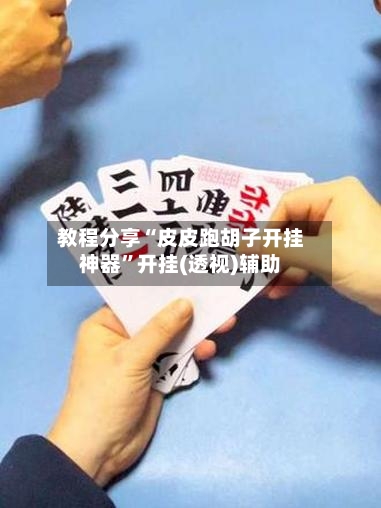 教程分享“皮皮跑胡子开挂神器”开挂(透视)辅助-第2张图片