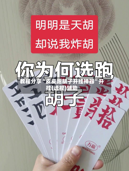 教程分享“皮皮跑胡子开挂神器”开挂(透视)辅助-第3张图片