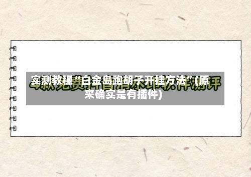 实测教程“白金岛跑胡子开挂方法”(原来确实是有插件)-第2张图片