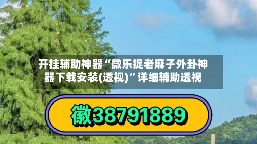 开挂辅助神器“微乐捉老麻子外卦神器下载安装(透视)	”详细辅助透视-第3张图片