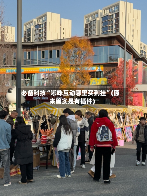 必备科技“嘟咪互动哪里买到挂”(原来确实是有插件)