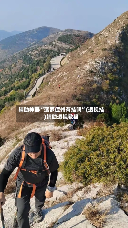 辅助神器“菠萝德州有挂吗”(透视挂)辅助透视教程