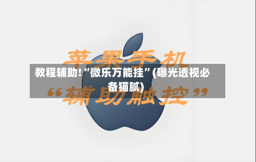 教程辅助!“微乐万能挂	”(曝光透视必备猫腻)-第2张图片