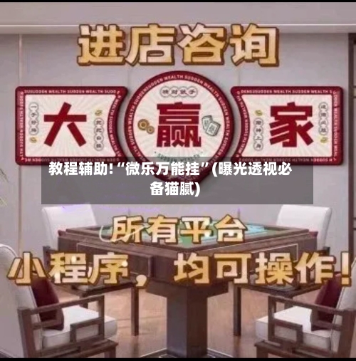 教程辅助!“微乐万能挂”(曝光透视必备猫腻)