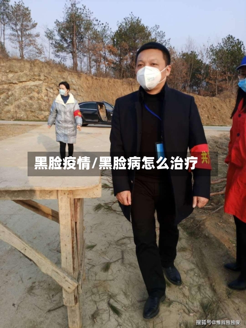 黑脸疫情/黑脸病怎么治疗