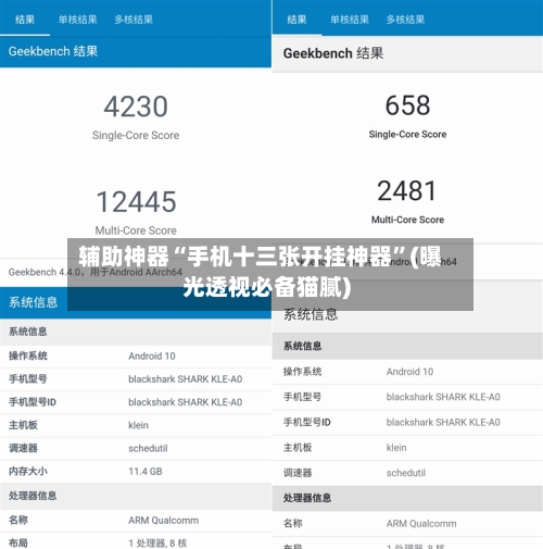 辅助神器“手机十三张开挂神器”(曝光透视必备猫腻)-第3张图片