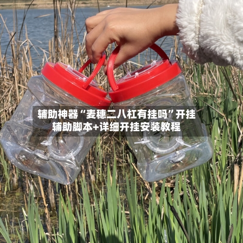 辅助神器“麦穗二八杠有挂吗”开挂辅助脚本+详细开挂安装教程