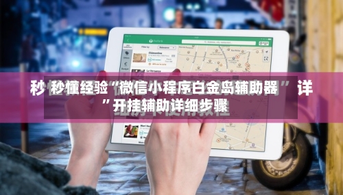 秒懂经验“微信小程序白金岛辅助器”开挂辅助详细步骤-第3张图片