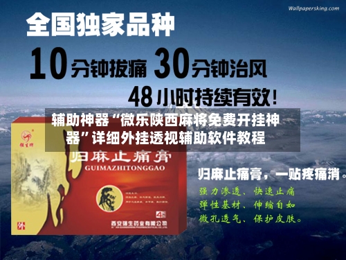 辅助神器“微乐陕西麻将免费开挂神器”详细外挂透视辅助软件教程