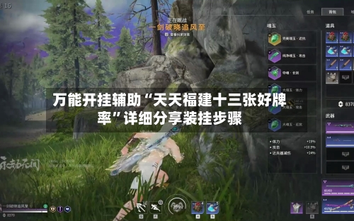 万能开挂辅助“天天福建十三张好牌率”详细分享装挂步骤