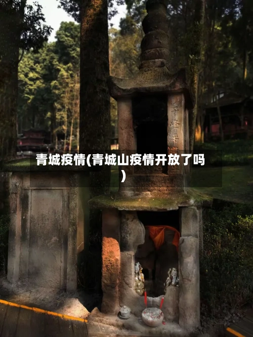 青城疫情(青城山疫情开放了吗)-第2张图片