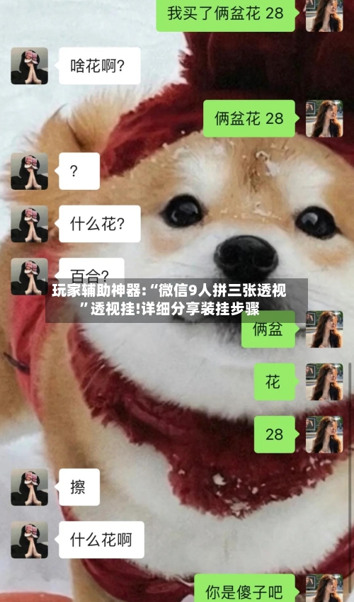 玩家辅助神器:“微信9人拼三张透视”透视挂!详细分享装挂步骤-第3张图片