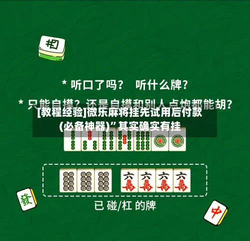 [教程经验]微乐麻将挂先试用后付款(必备神器)	”其实确实有挂-第3张图片