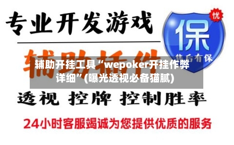 辅助开挂工具“wepoker开挂作弊详细”(曝光透视必备猫腻)-第2张图片