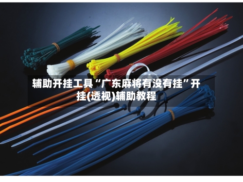 辅助开挂工具“广东麻将有没有挂”开挂(透视)辅助教程-第3张图片