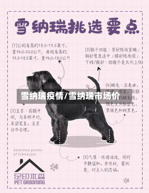 雪纳瑞疫情/雪纳瑞市场价