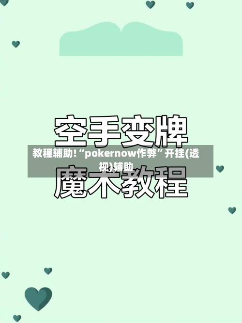 教程辅助!“pokernow作弊	”开挂(透视)辅助-第2张图片