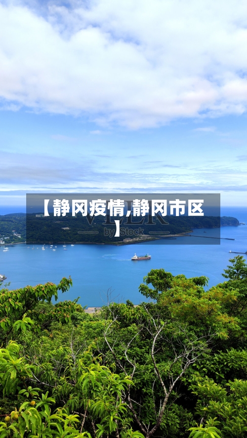 【静冈疫情,静冈市区】