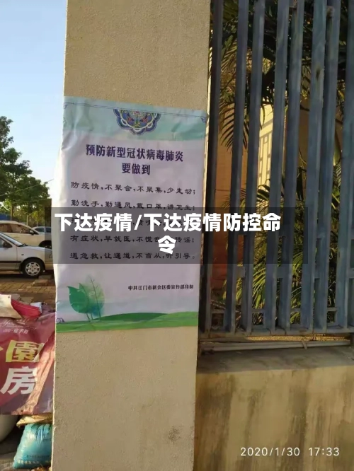 下达疫情/下达疫情防控命令