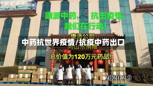 中药抗世界疫情/抗疫中药出口-第2张图片