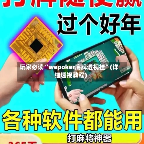 玩家必读“wepoker底牌透视挂”(详细透视教程)-第3张图片