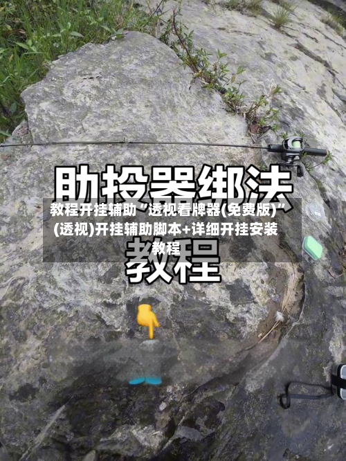 教程开挂辅助“透视看牌器(免费版)”(透视)开挂辅助脚本+详细开挂安装教程-第3张图片