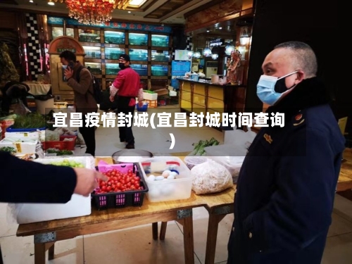 宜昌疫情封城(宜昌封城时间查询)-第2张图片