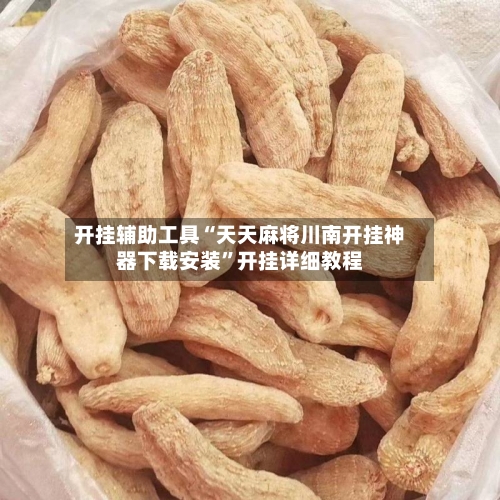 开挂辅助工具“天天麻将川南开挂神器下载安装”开挂详细教程-第2张图片