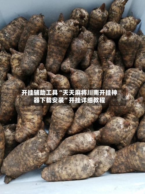 开挂辅助工具“天天麻将川南开挂神器下载安装”开挂详细教程