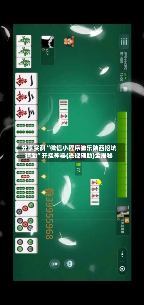 分享实测“微信小程序微乐陕西挖坑辅助”开挂神器{透视辅助}全揭秘-第3张图片