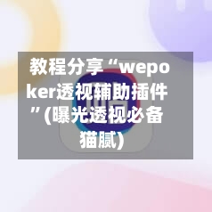 教程分享“wepoker透视辅助插件”(曝光透视必备猫腻)-第3张图片