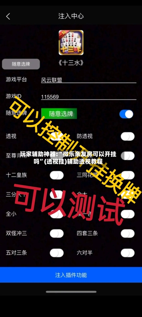 玩家辅助神器:“微乐亲友房可以开挂吗”(透视挂)辅助透视教程