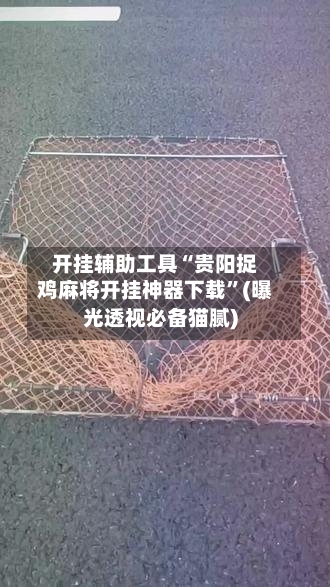 开挂辅助工具“贵阳捉鸡麻将开挂神器下载”(曝光透视必备猫腻)