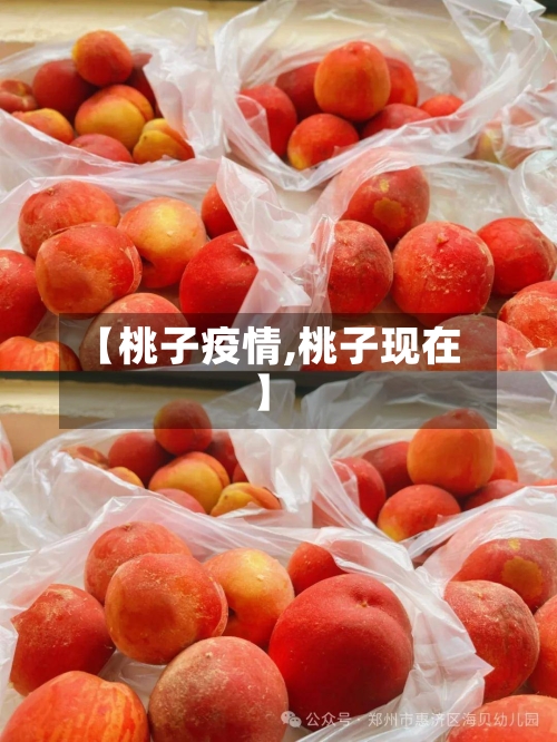 【桃子疫情,桃子现在】