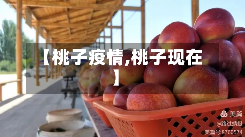 【桃子疫情,桃子现在】-第2张图片