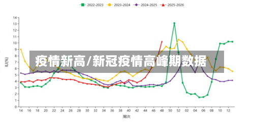疫情新高/新冠疫情高峰期数据