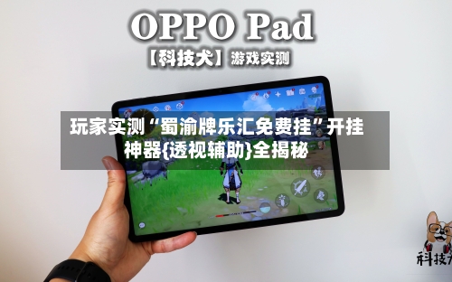 玩家实测“蜀渝牌乐汇免费挂”开挂神器{透视辅助}全揭秘