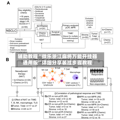 辅助教程“微乐浙江麻将万能开挂器通用版	”详细分享装挂步骤教程-第2张图片