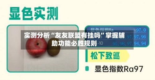 实测分析“友友联盟有挂吗”掌握辅助功能必胜规则-第2张图片