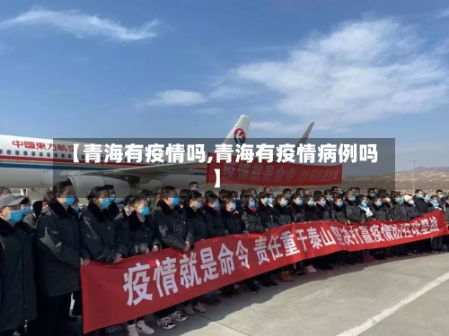 【青海有疫情吗,青海有疫情病例吗】-第2张图片