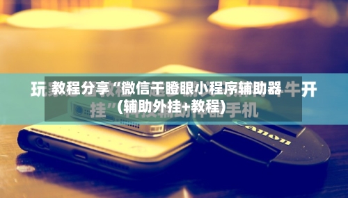 教程分享“微信干瞪眼小程序辅助器(辅助外挂+教程)