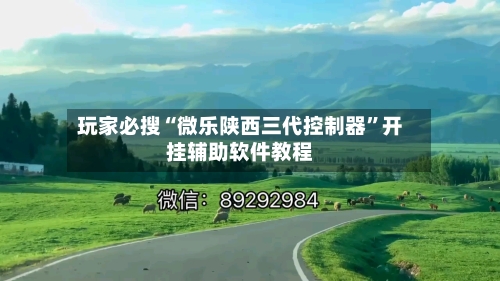 玩家必搜“微乐陕西三代控制器”开挂辅助软件教程