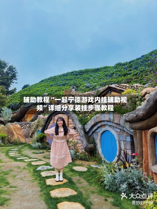 辅助教程“一起宁德游戏内挂辅助视频”详细分享装挂步骤教程-第3张图片