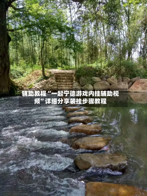 辅助教程“一起宁德游戏内挂辅助视频	”详细分享装挂步骤教程-第2张图片