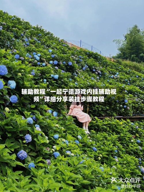 辅助教程“一起宁德游戏内挂辅助视频”详细分享装挂步骤教程