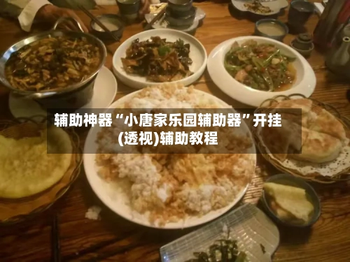 辅助神器“小唐家乐园辅助器”开挂(透视)辅助教程