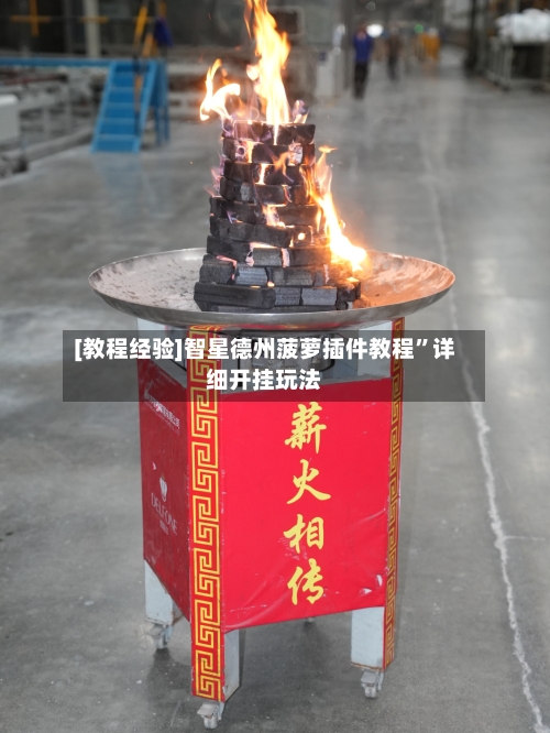 [教程经验]智星德州菠萝插件教程	”详细开挂玩法-第3张图片